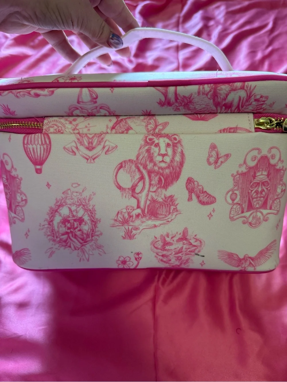 WICKED Cosmetic Train Case
